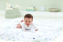 Load image into Gallery viewer, aden + anais Muslin Swaddle 4 Pk