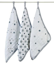 Load image into Gallery viewer, aden + anais Classic Washcloth Set 3pk