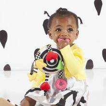 Load image into Gallery viewer, Manhattan Toy Baby Whoozit