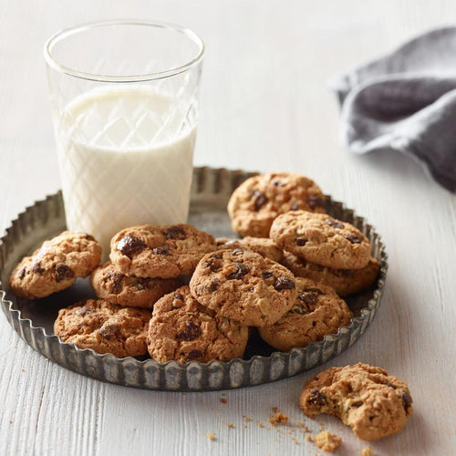 Munchkin Milkmakers Lactation Cookie Bites-10ct