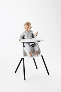 BabyBjörn High Chair