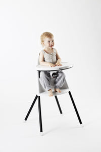 BabyBjörn High Chair