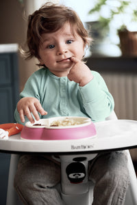 BabyBjörn High Chair