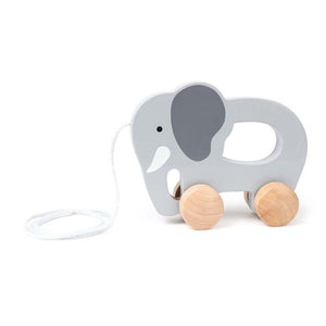 Hape Push & Pull Toy