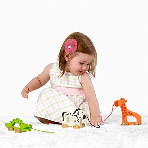 Hape Push & Pull Toy