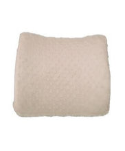 Load image into Gallery viewer, The Pump Station Back Pillow