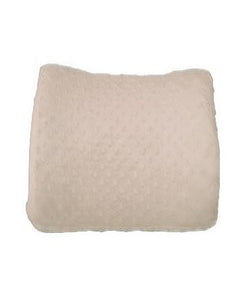 The Pump Station Back Pillow