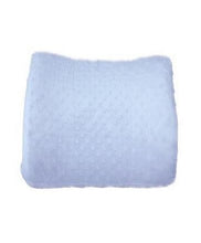 Load image into Gallery viewer, The Pump Station Back Pillow