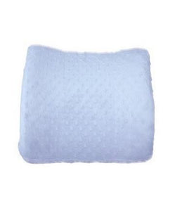 The Pump Station Back Pillow