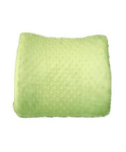 Load image into Gallery viewer, The Pump Station Back Pillow