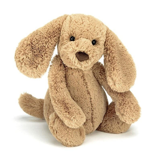 Jellycat Bashful Toffee Puppy 7