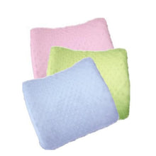 Load image into Gallery viewer, The Pump Station Back Pillow
