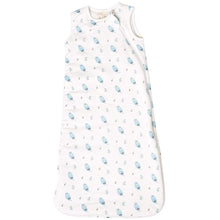 Load image into Gallery viewer, Kyte Baby Sleep Bag 1.0 tog